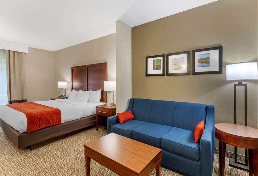 فندق Comfort & Inn Suites