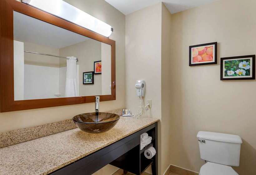 فندق Comfort & Inn Suites