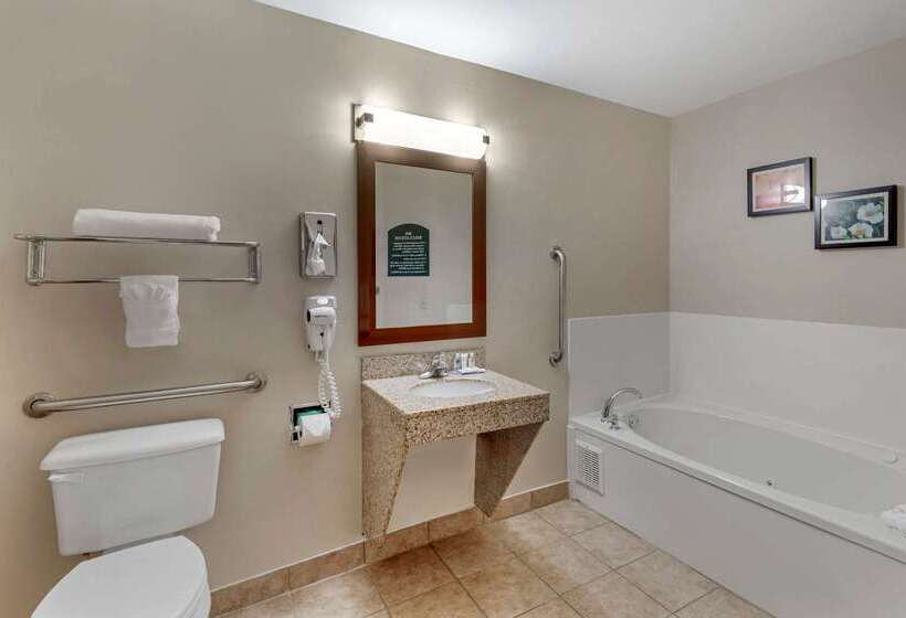 فندق Comfort & Inn Suites