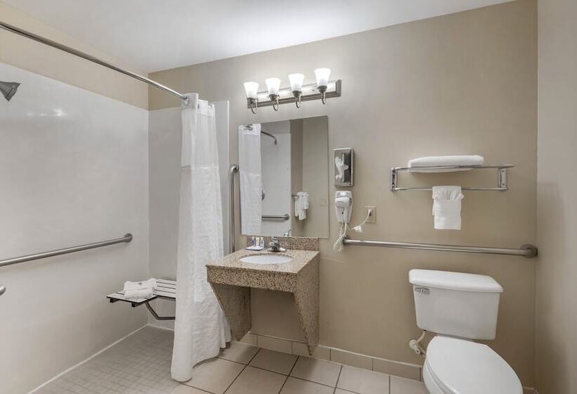 فندق Comfort & Inn Suites