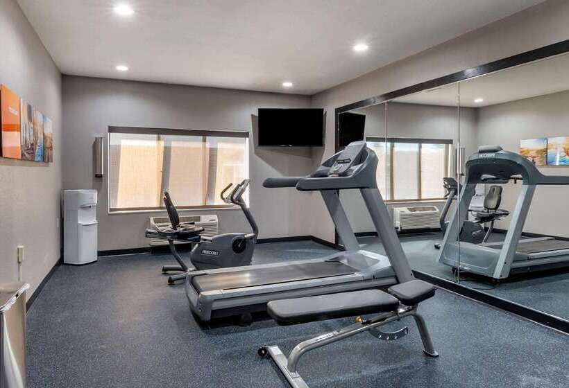 فندق Comfort Inn & Suites