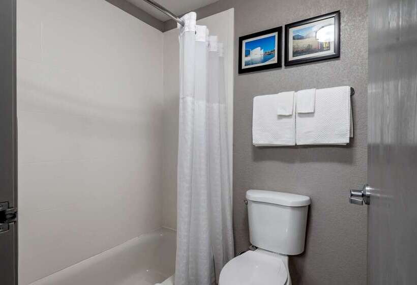 فندق Comfort Inn & Suites