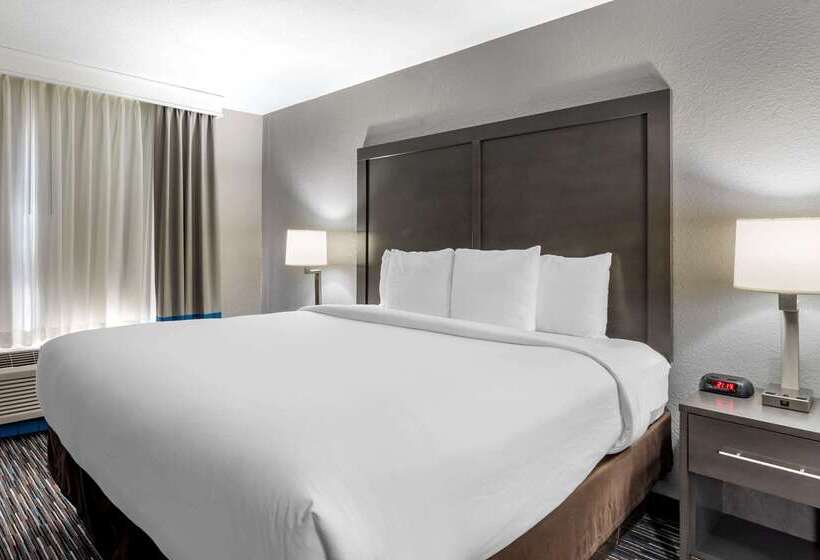 فندق Comfort Inn & Suites