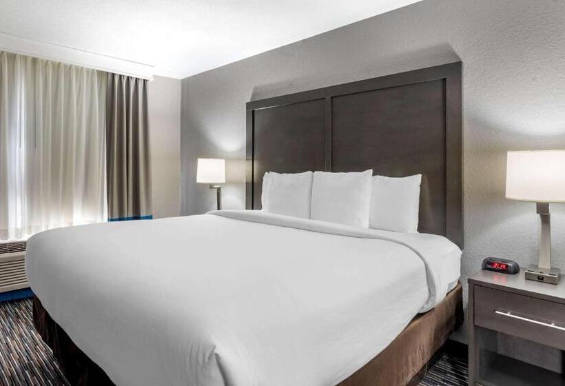 فندق Comfort Inn & Suites