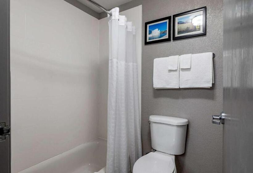 فندق Comfort Inn & Suites