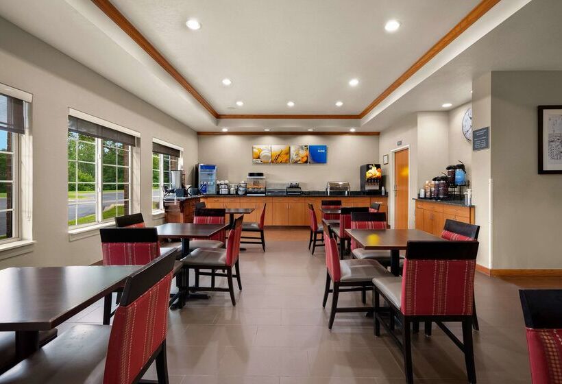 酒店 Comfort Inn & Suites