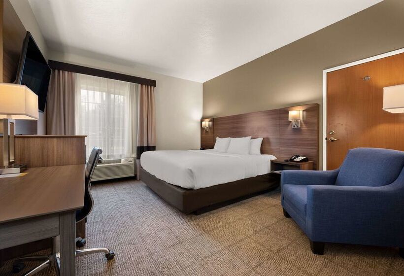 酒店 Comfort Inn & Suites