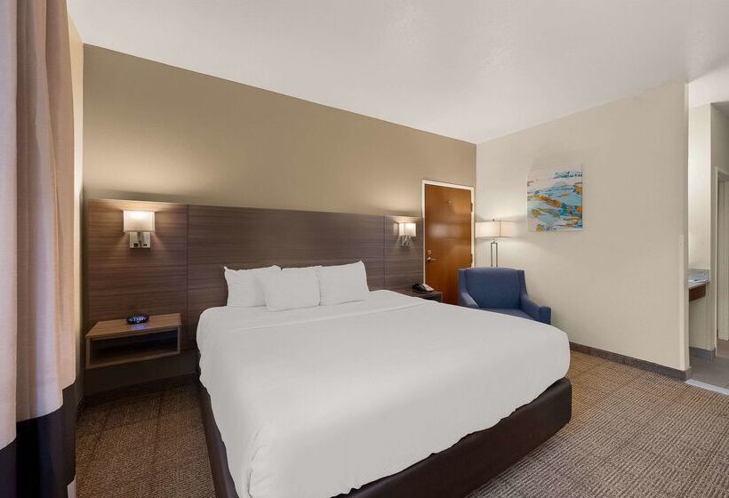 酒店 Comfort Inn & Suites