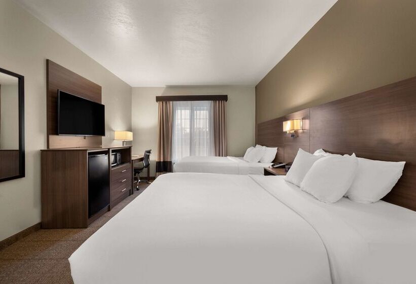 酒店 Comfort Inn & Suites