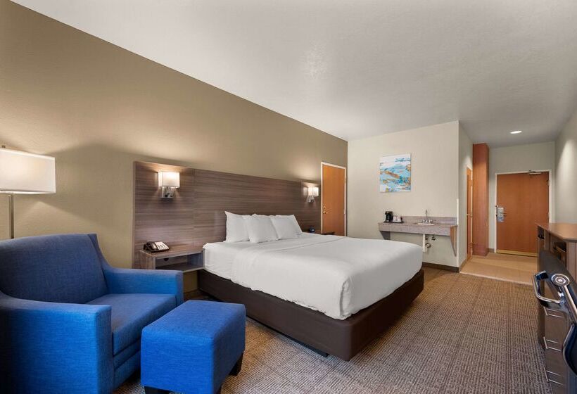 酒店 Comfort Inn & Suites