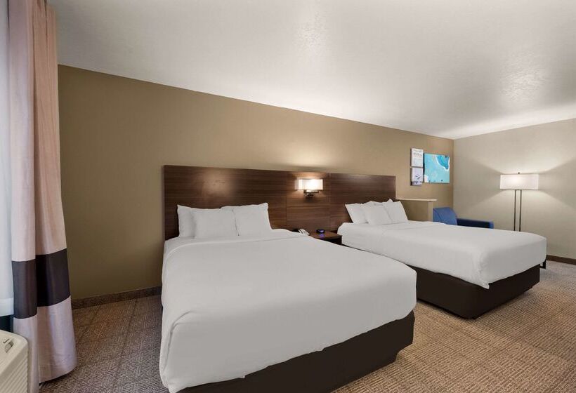 酒店 Comfort Inn & Suites