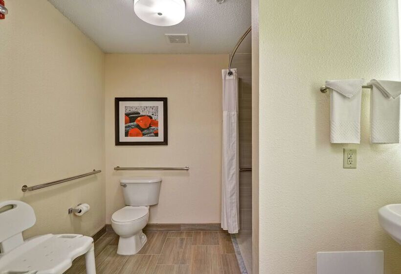 בית מלון כפרי Doubletree By Hilton Hattiesburg, Ms