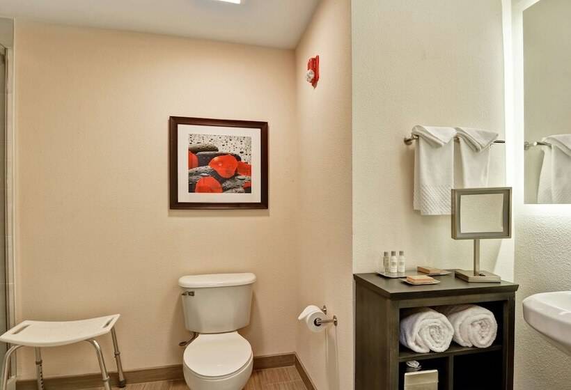 בית מלון כפרי Doubletree By Hilton Hattiesburg, Ms