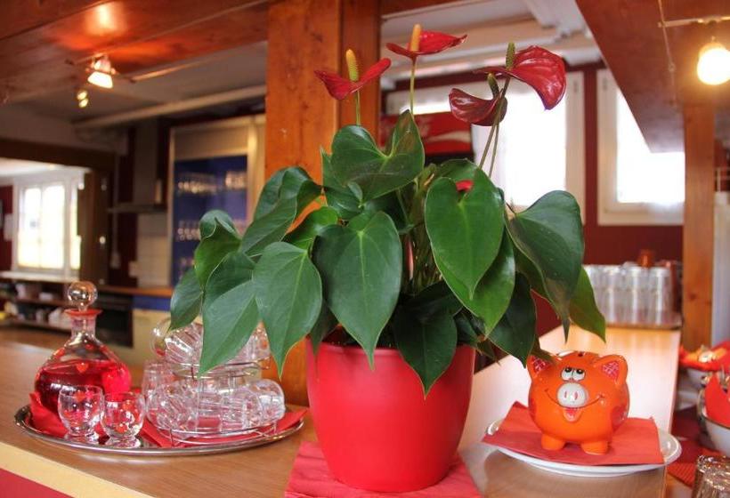 酒店 Downtown Lodge Hostel - Unique Simple Central