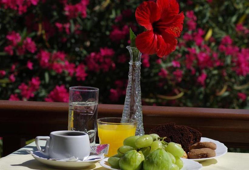 בית מלון כפרי Effie