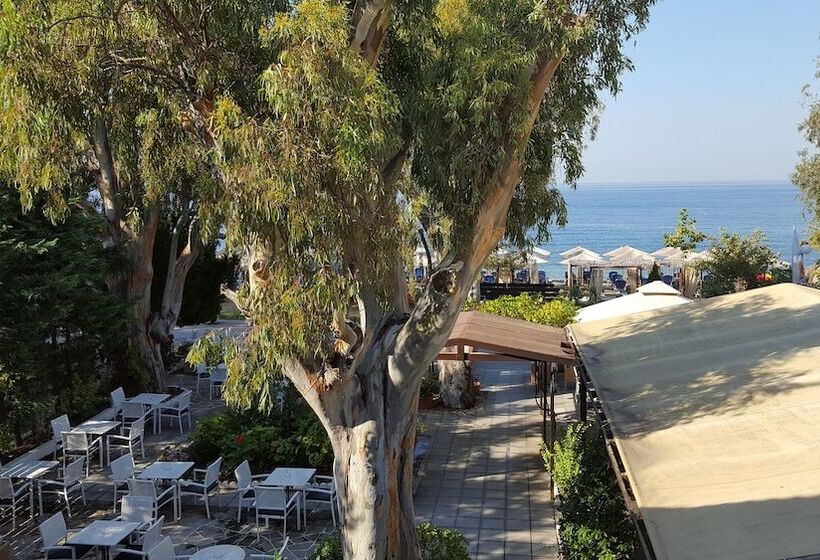 בית מלון כפרי Enalion