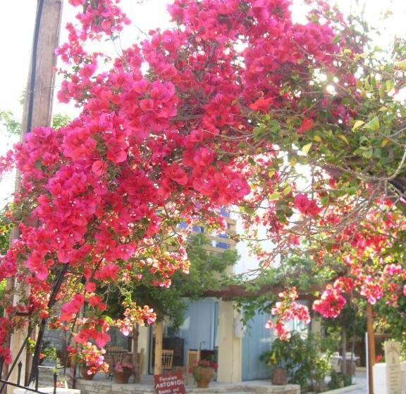 בית מלון כפרי Eva Marina