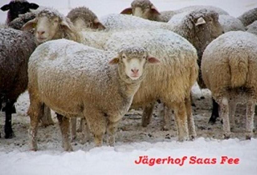 酒店 Garni Jägerhof