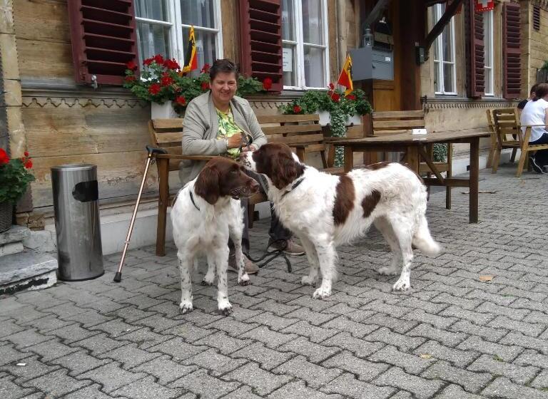 Отель Gasthof Schoenegg B&b