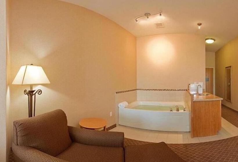 Holiday Inn Express Hotel & Suites Chesterfield Selfridge Area, An Ihg