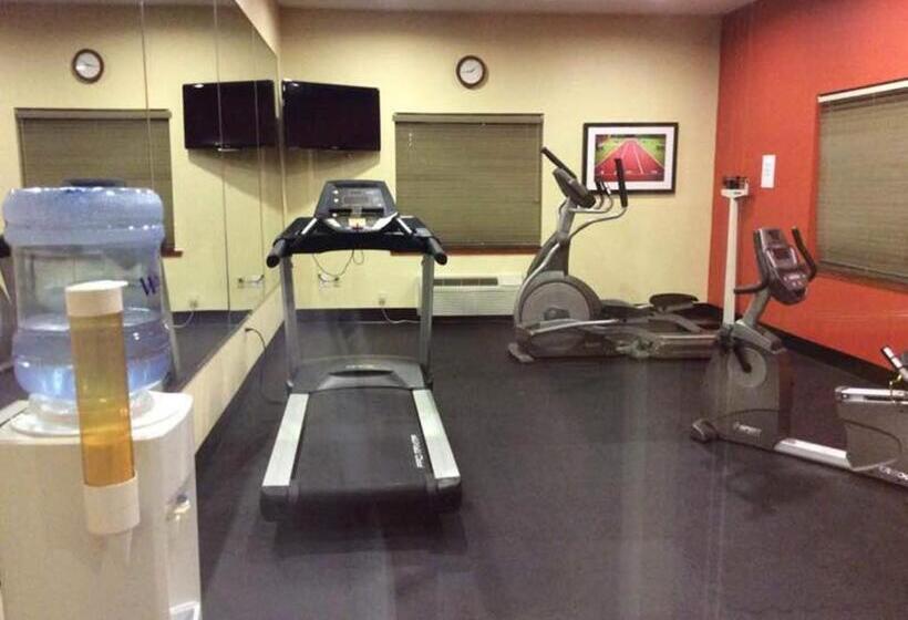 Holiday Inn Express Hotel & Suites Forest, An Ihg