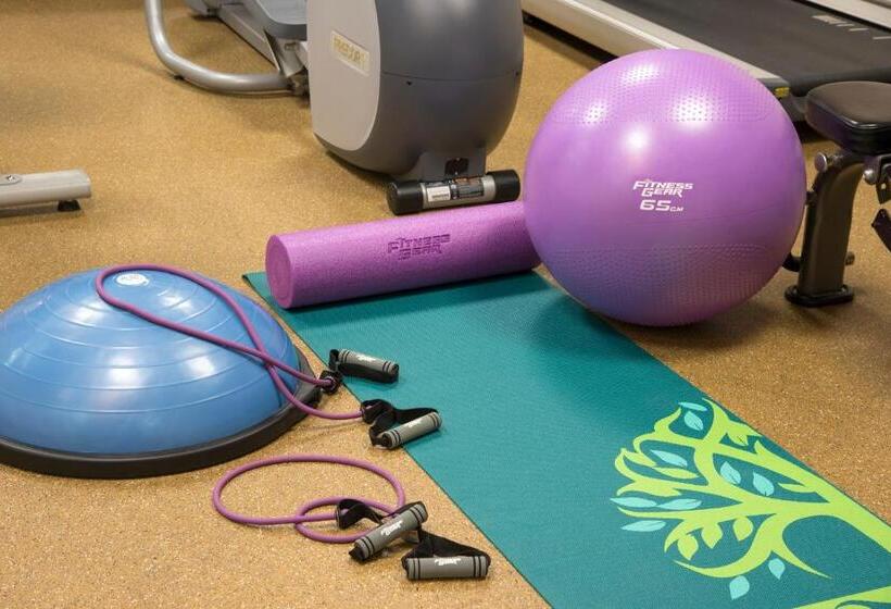 Holiday Inn Express Hotel & Suites Grand Rapids North, An Ihg