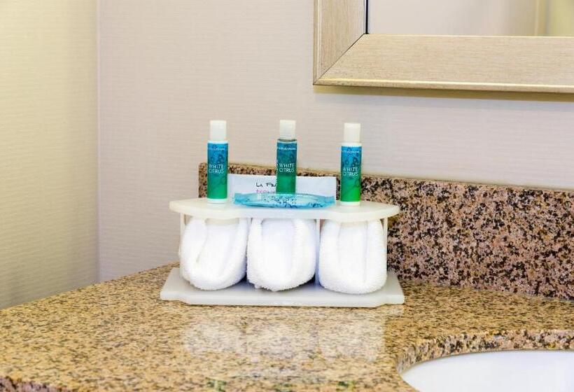 Holiday Inn Express Hotel & Suites Grand Rapids North, An Ihg