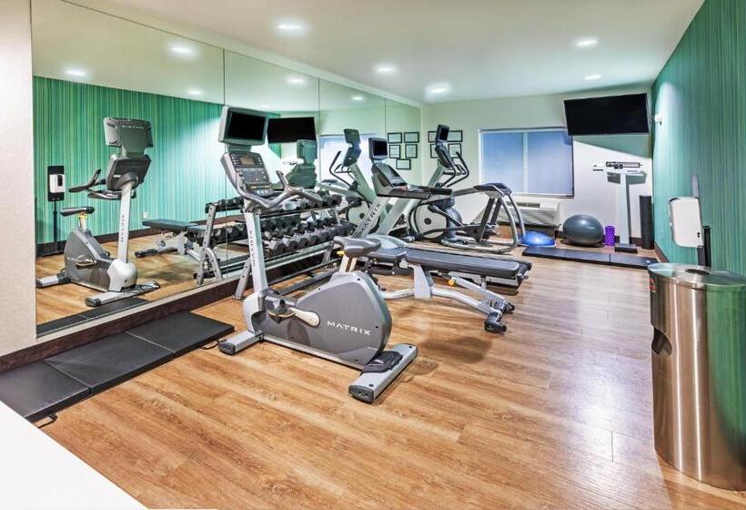 Holiday Inn Express Hotel & Suites Lafayette South, An Ihg