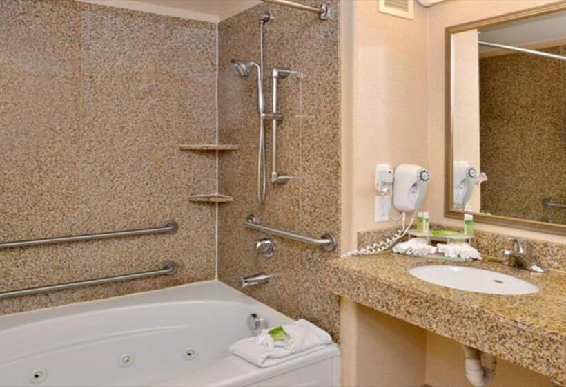 Holiday Inn Express Hotel & Suites Lincoln By Ihg