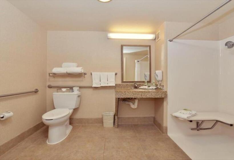 Holiday Inn Express Hotel & Suites Lincoln By Ihg