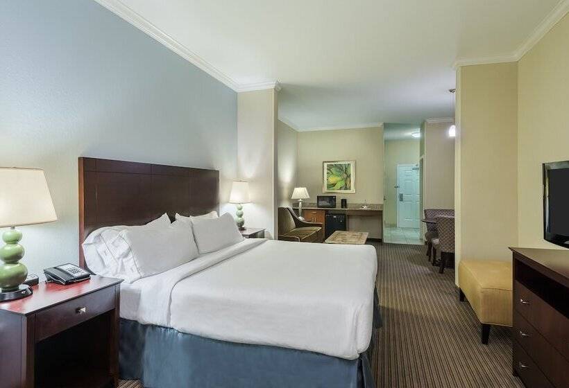 Holiday Inn Express Hotel & Suites New Iberia   Avery Island, An Ihg