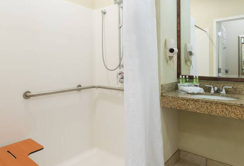 Holiday Inn Express Hotel & Suites New Iberia   Avery Island, An Ihg