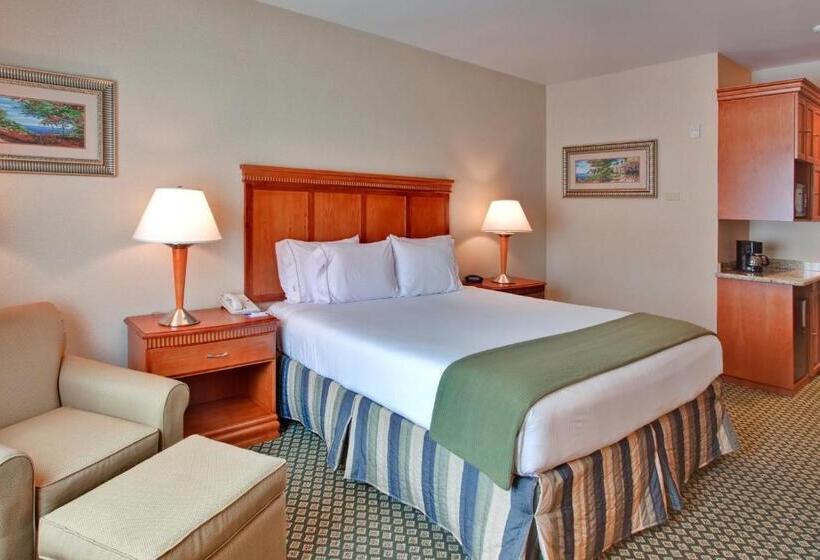 Holiday Inn Express Hotel & Suites Ontario Airport Mills Mall, An Ihg