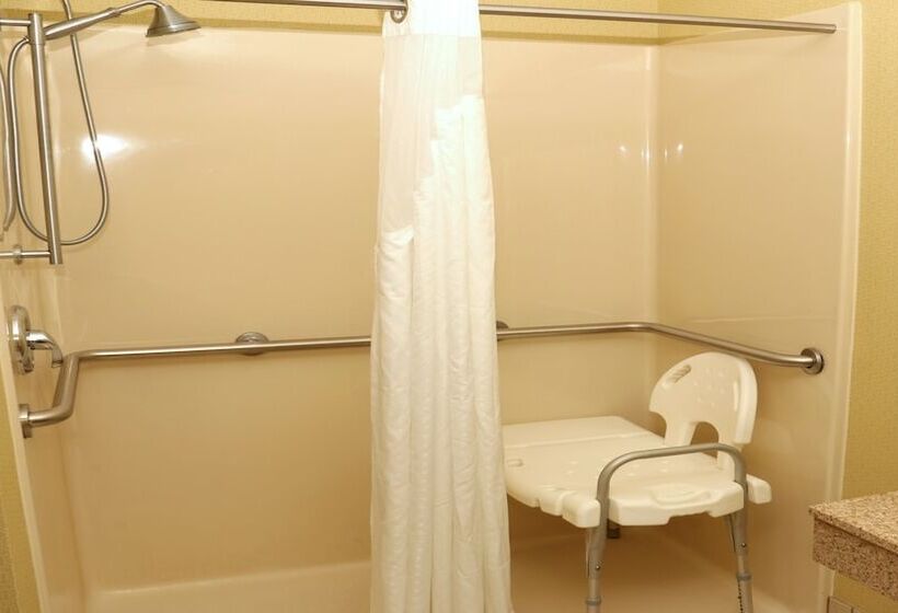 Holiday Inn Express Hotel & Suites Saginaw, An Ihg