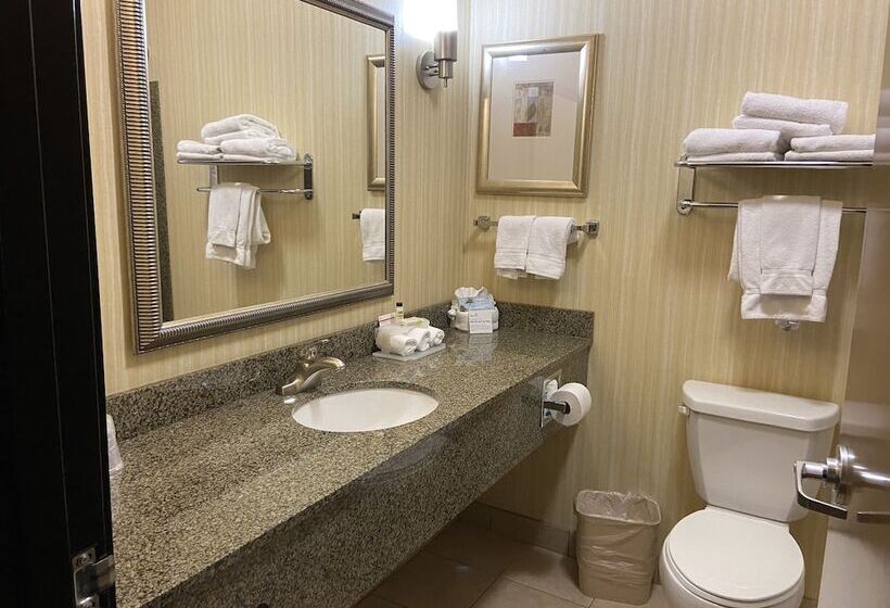 Holiday Inn Express Hotel & Suites Silt   Rifle, An Ihg