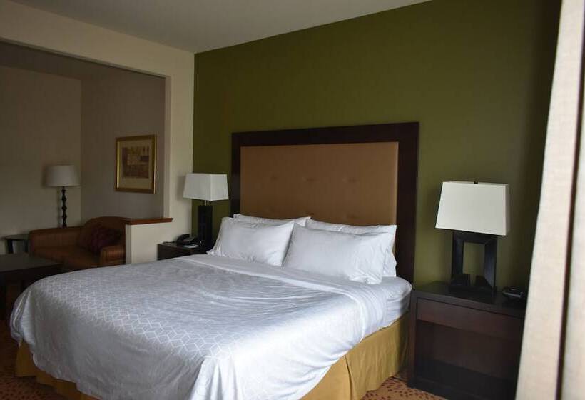 Holiday Inn Express Hotel & Suites Silt   Rifle, An Ihg