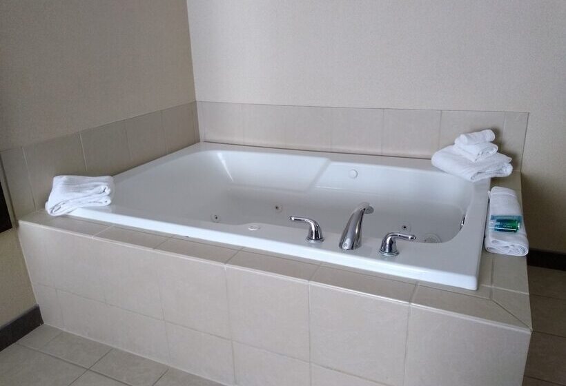 Holiday Inn Express Hotel & Suites Waterford, An Ihg