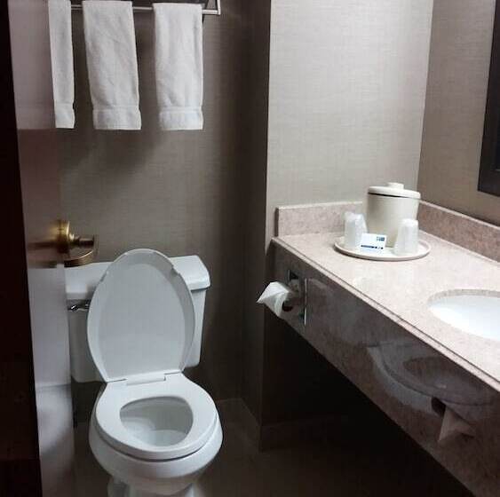 Holiday Inn Express Hotel & Suites Waterford, An Ihg