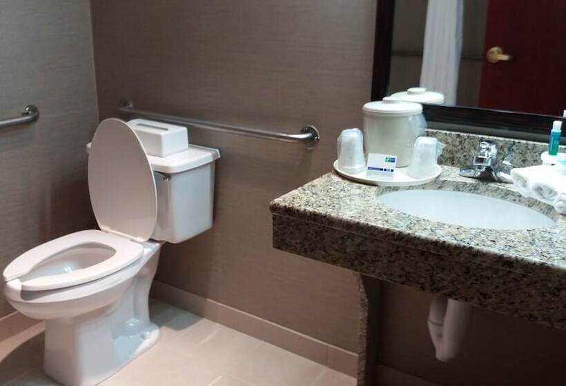 Holiday Inn Express Hotel & Suites Waterford, An Ihg