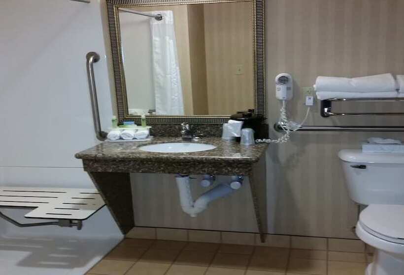 בית מלון כפרי Holiday Inn Express & Suites New Buffalo, Mi, An Ihg