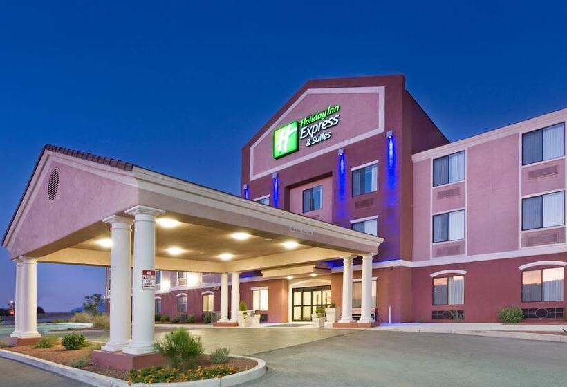 ホテル Holiday Inn Express & Suites Willcox By Ihg