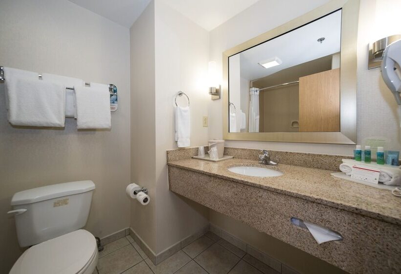 בית מלון כפרי Holiday Inn Express & Suites Vicksburg By Ihg