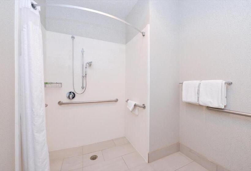 酒店 Holiday Inn Express Wixom, An Ihg