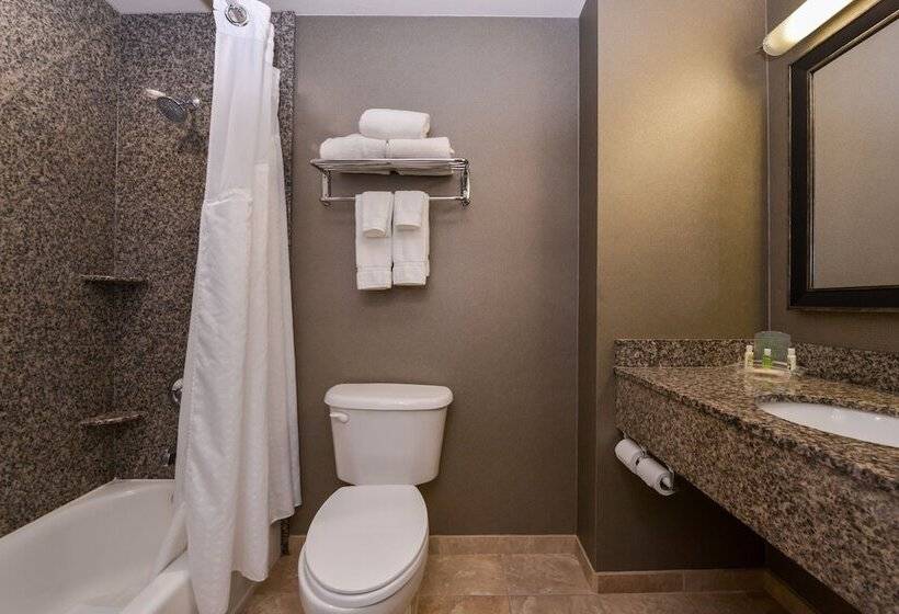 فندق Holiday Inn Ontario Airport   California, An Ihg