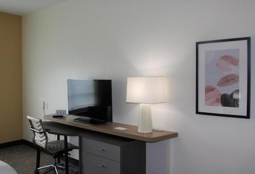 فندق Holiday Inn Southaven Central   Memphis, An Ihg