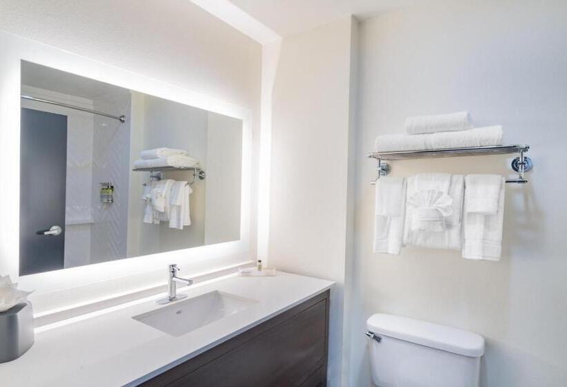 فندق Holiday Inn Southaven Central   Memphis, An Ihg