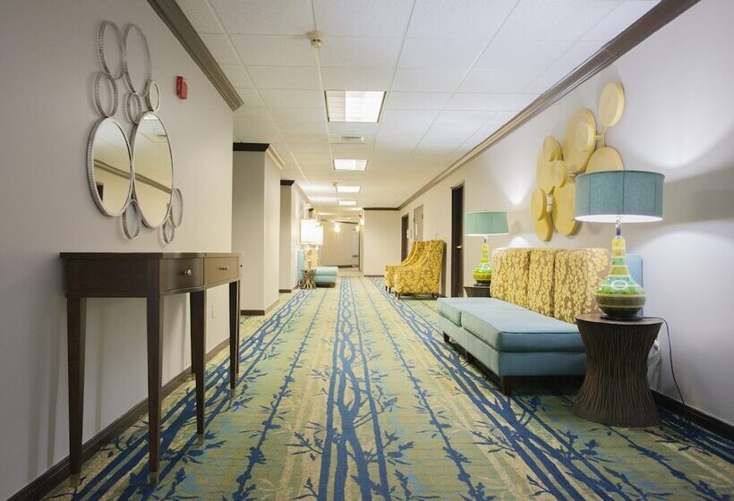 فندق Holiday Inn & Suites Spring   The Woodlands