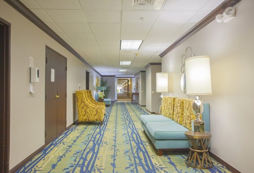 فندق Holiday Inn & Suites Spring   The Woodlands