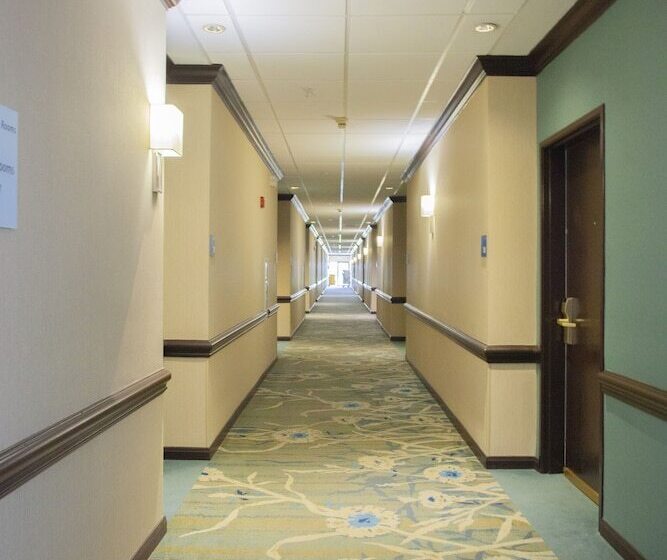 فندق Holiday Inn & Suites Spring   The Woodlands