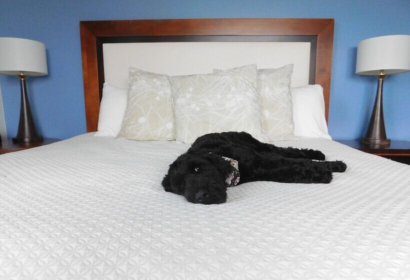 هتل Indigo Asheville Downtown, An Ihg